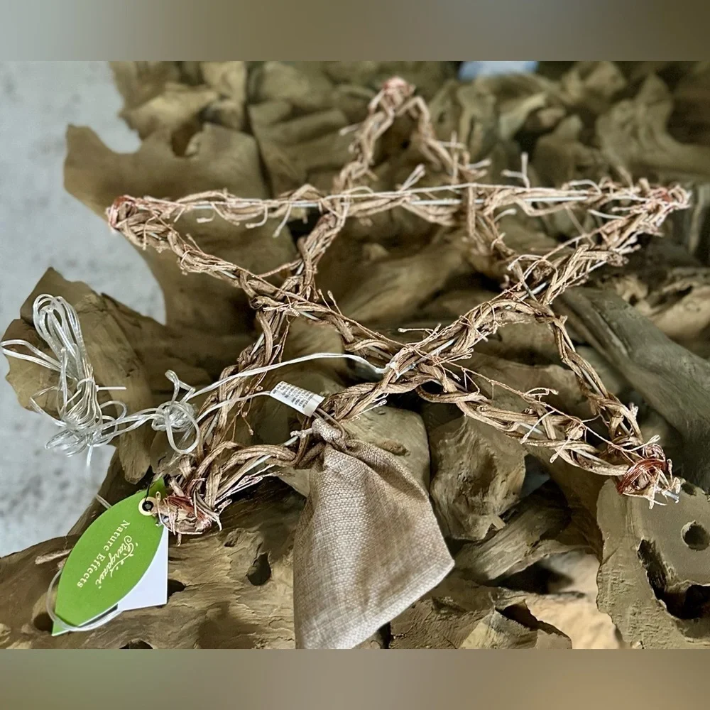 RARE TERRAIN NWT Stargazer Illuminated LED Vine Star